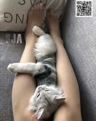 亚洲欧美日韩愉拍自拍_超清神马影院手机在线