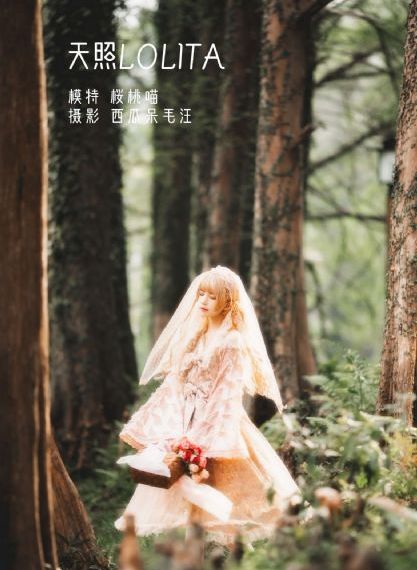 欧美限制级电影合集_蓝光免费在线观看